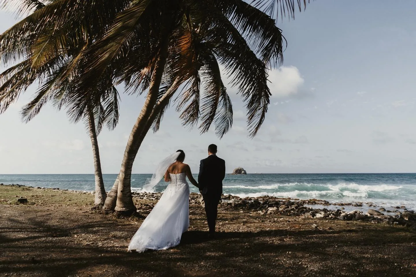 Weddings — Tara Weddings Toronto